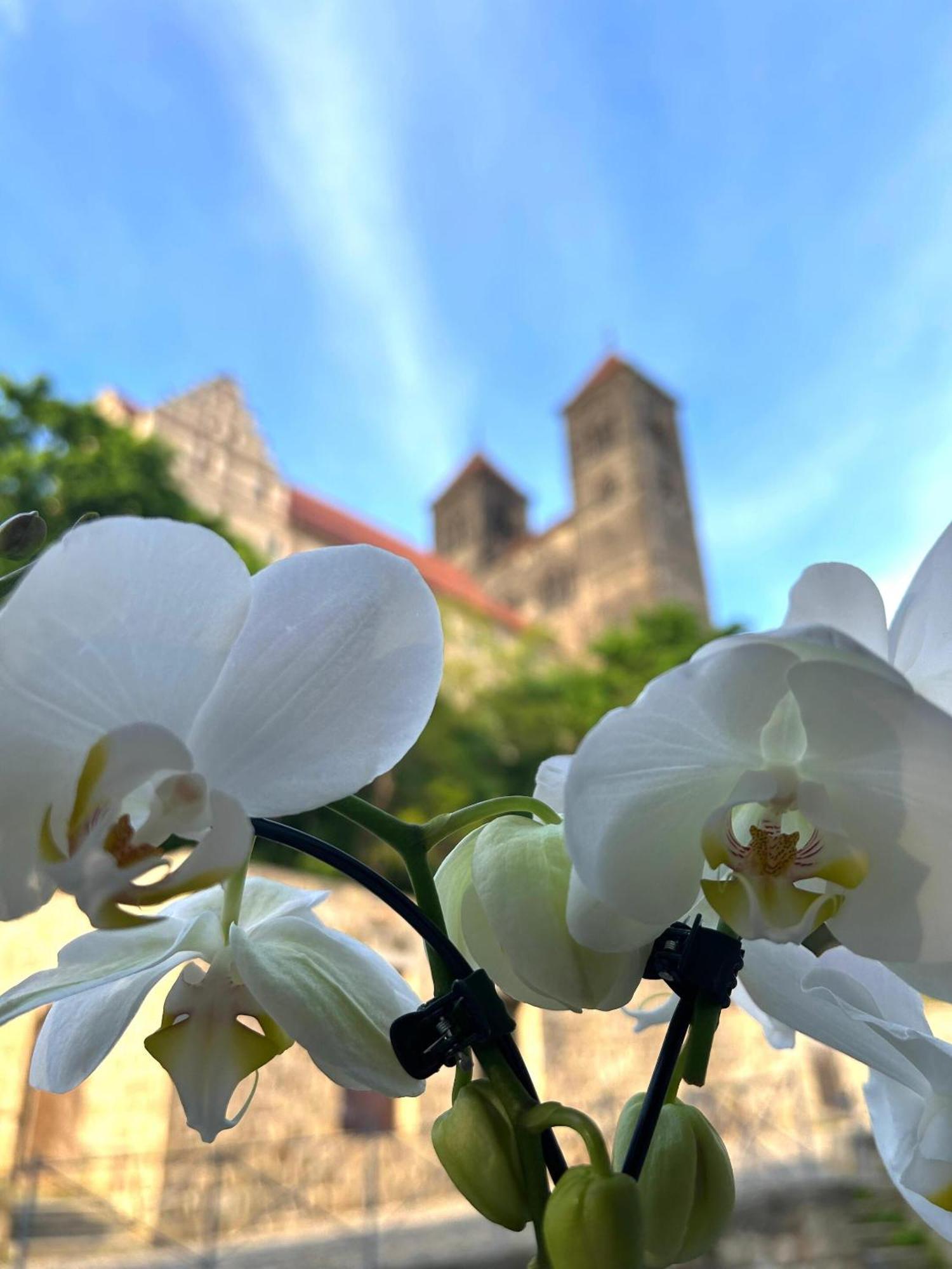 Hotel Domschatz Quedlinburg Εξωτερικό φωτογραφία