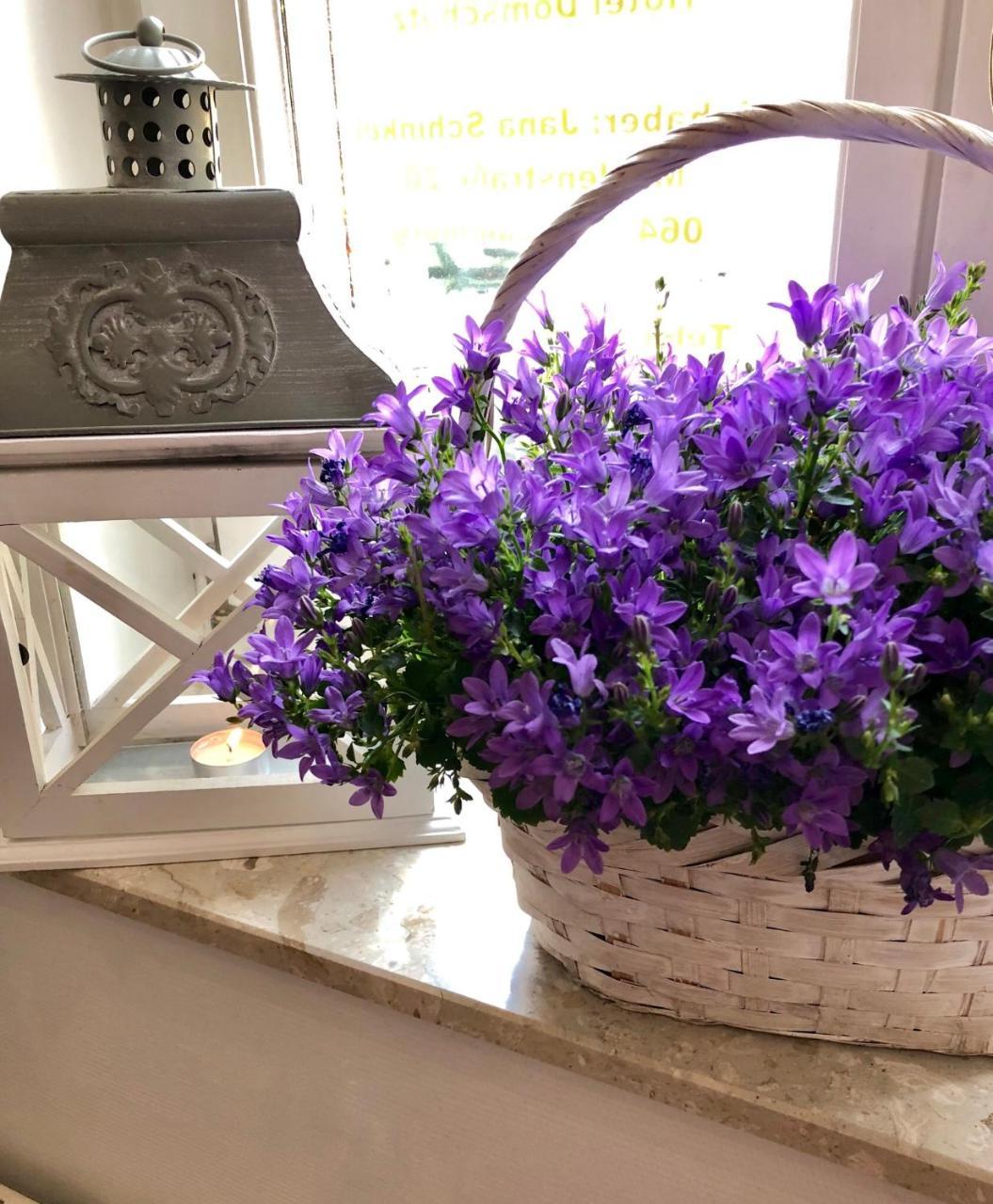 Hotel Domschatz Quedlinburg Εξωτερικό φωτογραφία